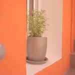דירה σταχυ και μελι Loft גיתיו